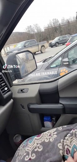 Adorable Puppies Show Off Their Driving Skills