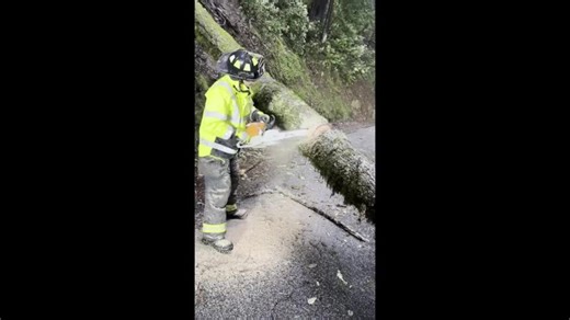 Firefighters Get Cupcakes as Reward for Removing Downed Tree