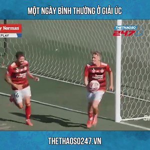 78K views · 460 reactions | Lạ gì mấy chú Úc chim bìm bịp này  | Web Thể Thao 247 | Facebook