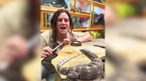 water monitor lizards eating at reptile zoo