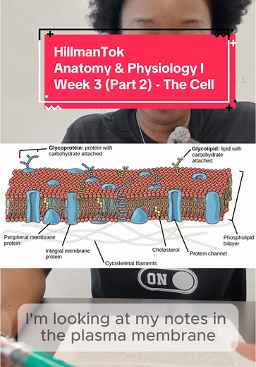 Exploring the Cell Structure and Membrane Transport