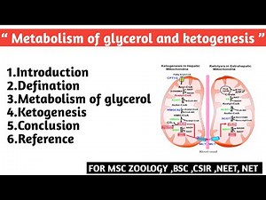 Metabolism of glycerol and Ketogenesis |