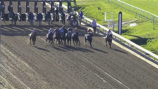 Highlights: 2026 Louisiana Derby