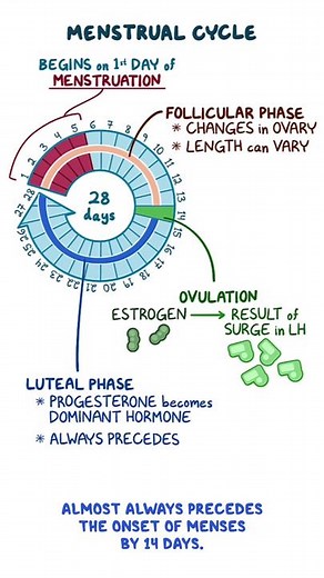 Osmosis from Elsevier on TikTok
