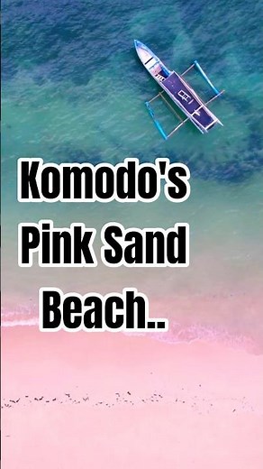 Komodo's Pink Beach One of the Worlds Rarest Beaches!