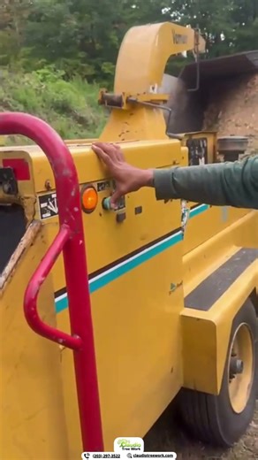 Stump Shredding #shorts