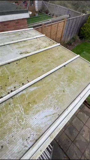 A day in the Fog 🌫️ Cleaning a conservatory roof that had completely lost its shine under layers of green algae and built-up grime. With the right equipment and a proper deep clean, we were able to safely remove all the dirt and bring the roof back to life — letting the light back into the room and making the whole conservatory look fresh again ✨ Another great transformation and another happy customer for Coastline 🧼 📞 Call Coastline - 07300916818 💻 www.coastline-windowcleaning.co.uk 📩 info