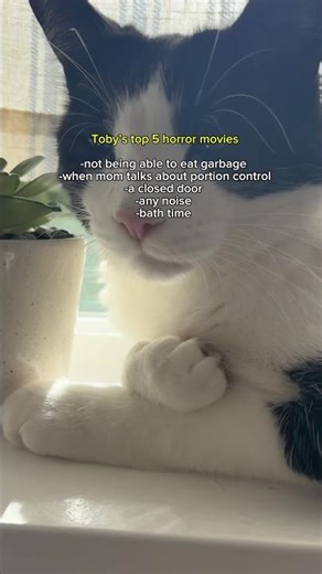 Toby’s top 5 horror movies 😹