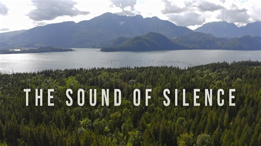 Solo camping in a Jeep Gladiator: Overland adventure