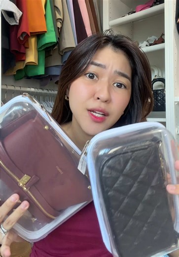 Essential Clear Bins for Organized Packing