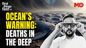 Ocean's warning: Mysterious marine deaths worldwide