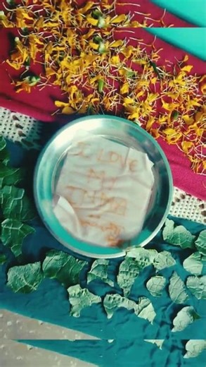 26 January comming soon 🇮🇳🔥✨ just match the flag colours with nature🌿 #jaihind #india #shorts