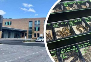 ‘Exploitative’ reptile event due to be held at school cancelled