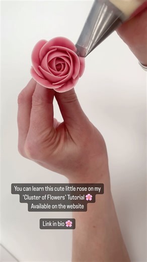 Alice Ward on Instagram: "124k mini rose tutorial on the website  This tutorial will show how to pipe two different mini roses with 2 different nozzles as well as some two tone tulips. It is the longest in duration out of my individual tutorials and costs £8. www.petalsbakehouse.co.uk/tutorials . #cake #cupcakes #cupcakedecorating #flowers #piping #edibleflowers #buttercreamflowers #petalsbakehouse"