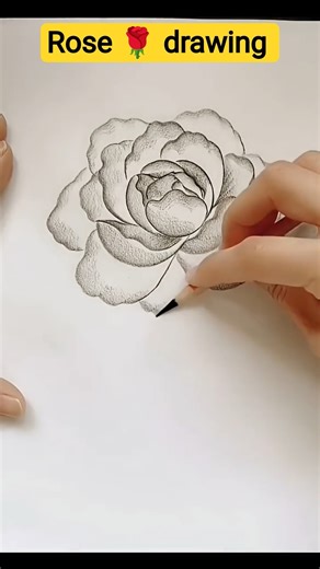 Realistic Rose Pencil Sketch 🌹 | Satisfying Drawing #Shorts #drawing #rose #art #easydrawing #sketch