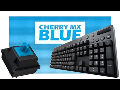 Logitech G610 Cherry MX Blue - Mechanical Keyboard Sounds [ASMR]