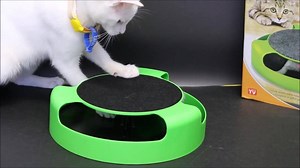 MUST READ FOR CAT OWNERS: SARAHS STORY - IT COULD SAVE YOUR CATS LIFE😿😿 Sarah loved her indoor cat Sooty more than anything. He was her best friend. But lately, something about Sooty just seemed... off. Instead of being the bubbly cat that Sarah adored. Sooty was sleeping ALL the time, acting aggressive and destroying things all around the house! 😡 Sarah was stumped... The vet gave Sooty clean bill of health! So she had no idea what was wrong… She asked friends. Had appointments with various 