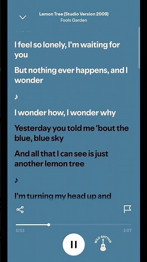 Fool’s Garden - Lemon Tree (Sportify's version) #music #lemontree #lyrics #song #spotify