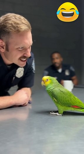 Parrot Interrogation: He Cracked Under the Pressure! 🤣 #FunnyAnimals #PoliceHumor #TalkingParrot | Homemade & Heart recipes
