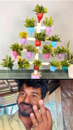 வீட்டிற்கு தேவையான அழகு🪴செடிகளை ஒரே இடத்தில் பராமரிக்கலாம் #homeplant