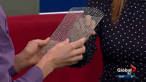 Ask an Expert: Rodent control