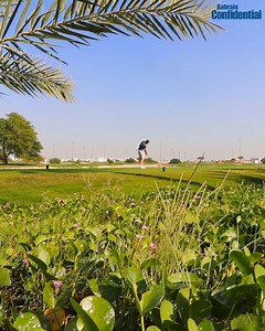 Here's a quick tutorial for beginners of Golf from the pros at the Royal Golf Club Bahrain! 🏌🏽 Are you ready to 'ace' it? ⛳ | Bahrain Confidential