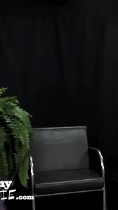 464K views · 5K reactions | Zach Galifianakis Calls Amy Adams - Cinnamon Muff - Between Two Ferns #reels | PopJuice | Facebook