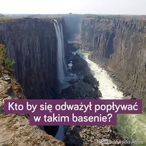 81K views · 674 reactions | Lubisz basen bez krawędzi? Zobacz ten! Autorzy: https://www.facebook.com/bushtracksafrica/ | WakacyjniPiraci | Facebook