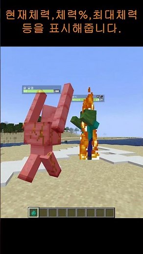 마인크래프트 Neat 모드 (체력표시)