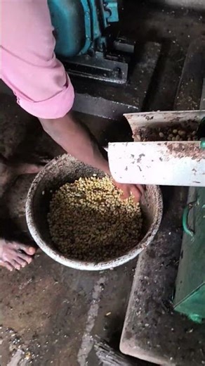 COFFEE PULPING PROCESS