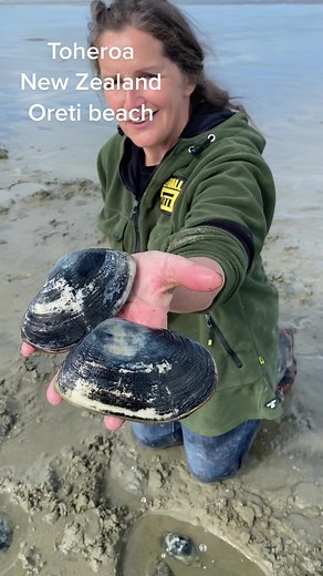 Toheroa Gathering in New Zealand - Oreti Beach Exploration