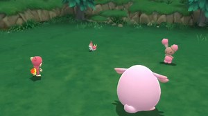 BDSP 百代森林异色卷卷耳 2310*2次REs 雌性 爽朗性格 Nintendo Switch