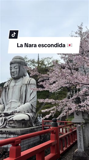 Tranquil Mornings at Tsubosaka Temple, Nara