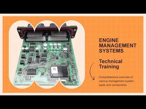 Management System Types