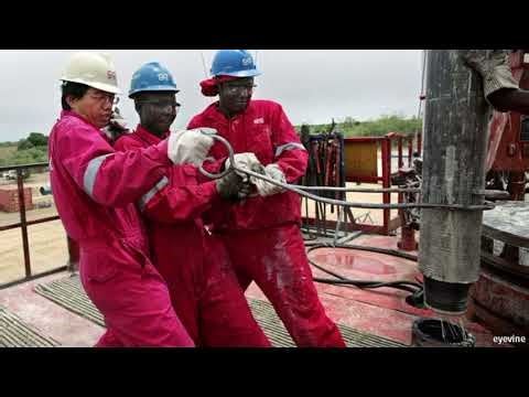 Work Health and Safety (Ergonomics)