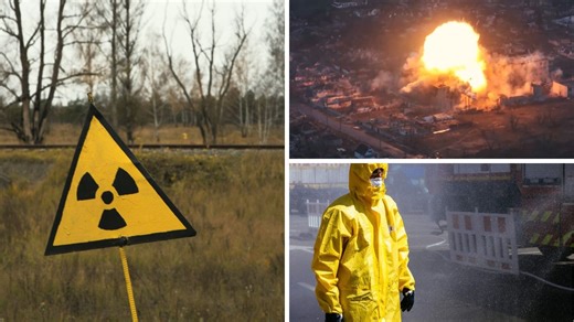 ‘What on earth is going on’: Abandoned dogs near Chernobyl nuclear site mysteriously turn blue