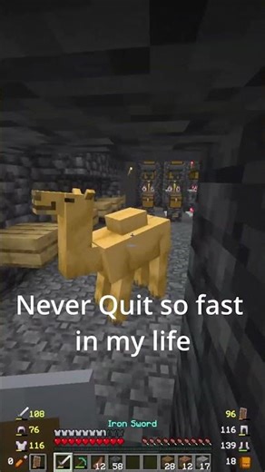Did you see it? #minecraft #lifstealsmp #riftsmp #gaming #minecraftserver #online