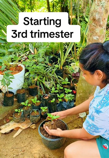 Embracing the 3rd Trimester of Pregnancy