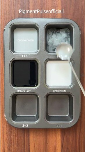 What Happens When You Mix Black & White in Different Ratios? | Color Palette Test