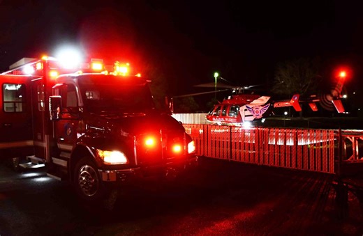 Adult airlifted from Walterboro after dog attack