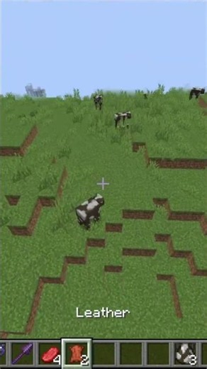 Day 77 Of Teaching You All German In Minecraft