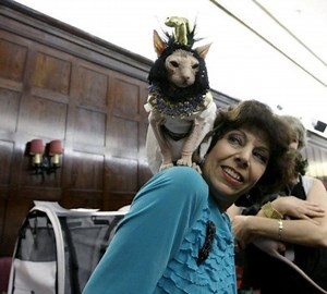 Cats Dressed as People, People Dressed as Cats