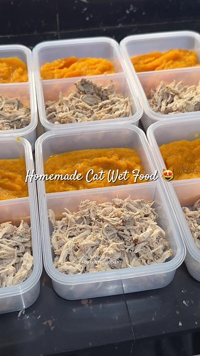 Homemade Wet Food Recipe for Cats