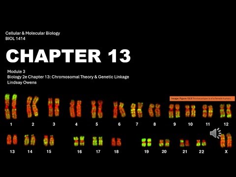 BIOL1414 Chapter 13 PPT
