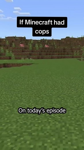 Part 3 of The Minecraft Police Department 😎 #gaming #gamingontiktok #videogames #gamer