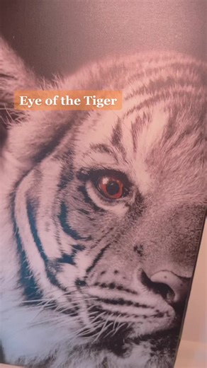 I Am Unstoppable #fyp #EasyWithAdobeExpress #BigComfy #foryoupage #tiger #king #manishvibes #champ #winner #unstoppable #unbeatable