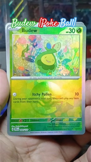 Budew [Poke Ball] #prismaticevolutions #pokemon #pokemoncards #pokemontcg