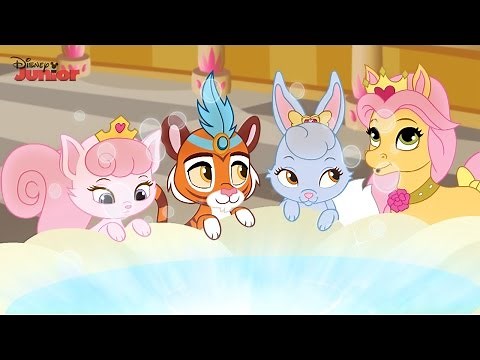 Whisker Haven Tales | Hat's a Wrap! | ‪@disneykids‬