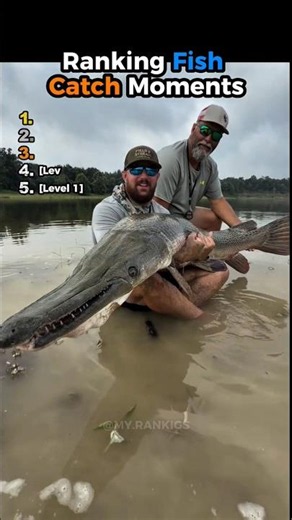 Ranking Monster Fish Catches 🌊