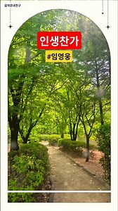 🩷#인생찬가 #임영웅 #산골총각영웅 #윤명선 작사작곡 #shorts